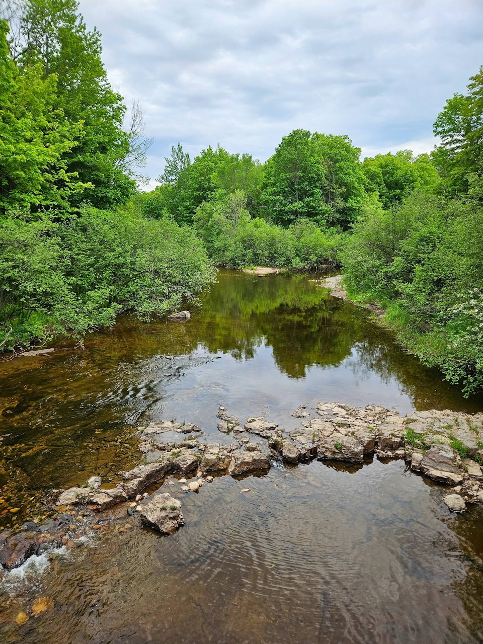 River flowing through green forest with rocky shore and cloudy sky
