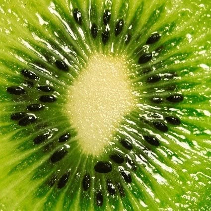 Halved kiwi fruit with green flesh and black seeds