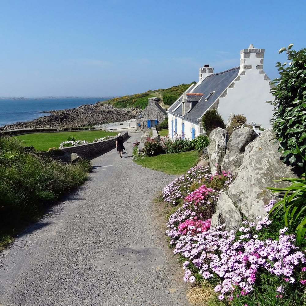 White cottages beside gravel path with pink and white flowers, overlooking the sea
