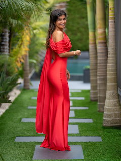 Woman in Red Gown