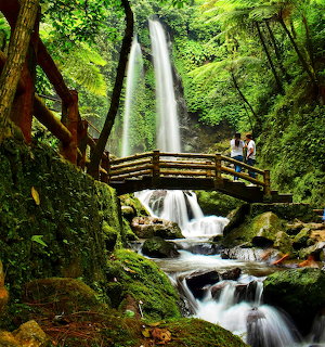 Wooden bridge over a tropical waterfall surrounded by lush green vegetation and mosy rocks