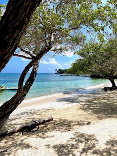 Tropical beach with turquoise water, white sand, and trees casting shadows on shore