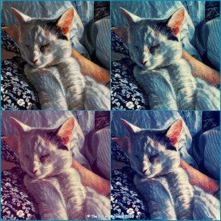 Kitten Art Collage