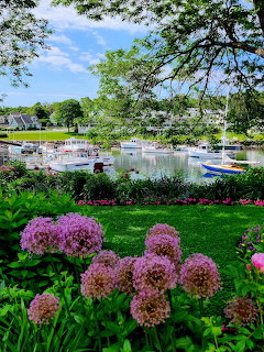 Harbor Cove Flowers