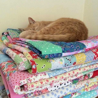 Cat Napping on Quilts