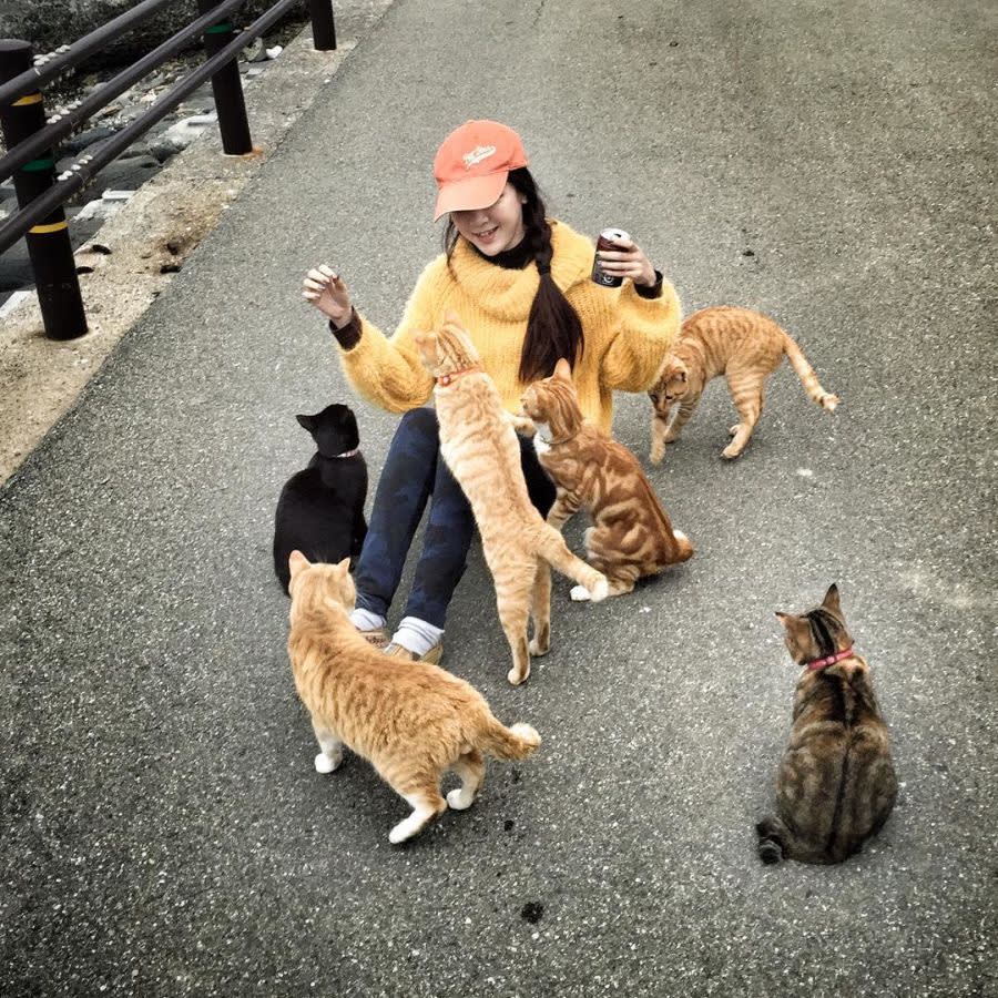 Woman sitting on ground surrounded by six cats on paved path