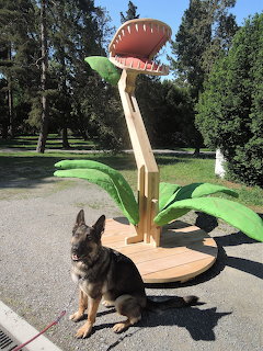 German Shepherd sitting beside oversized carnivorous plant sculpture in park