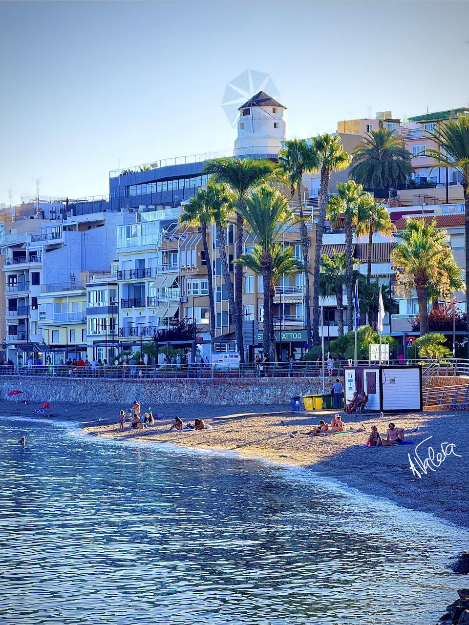 Coastal town beach with palm trees, white buildings, and calm blue water
