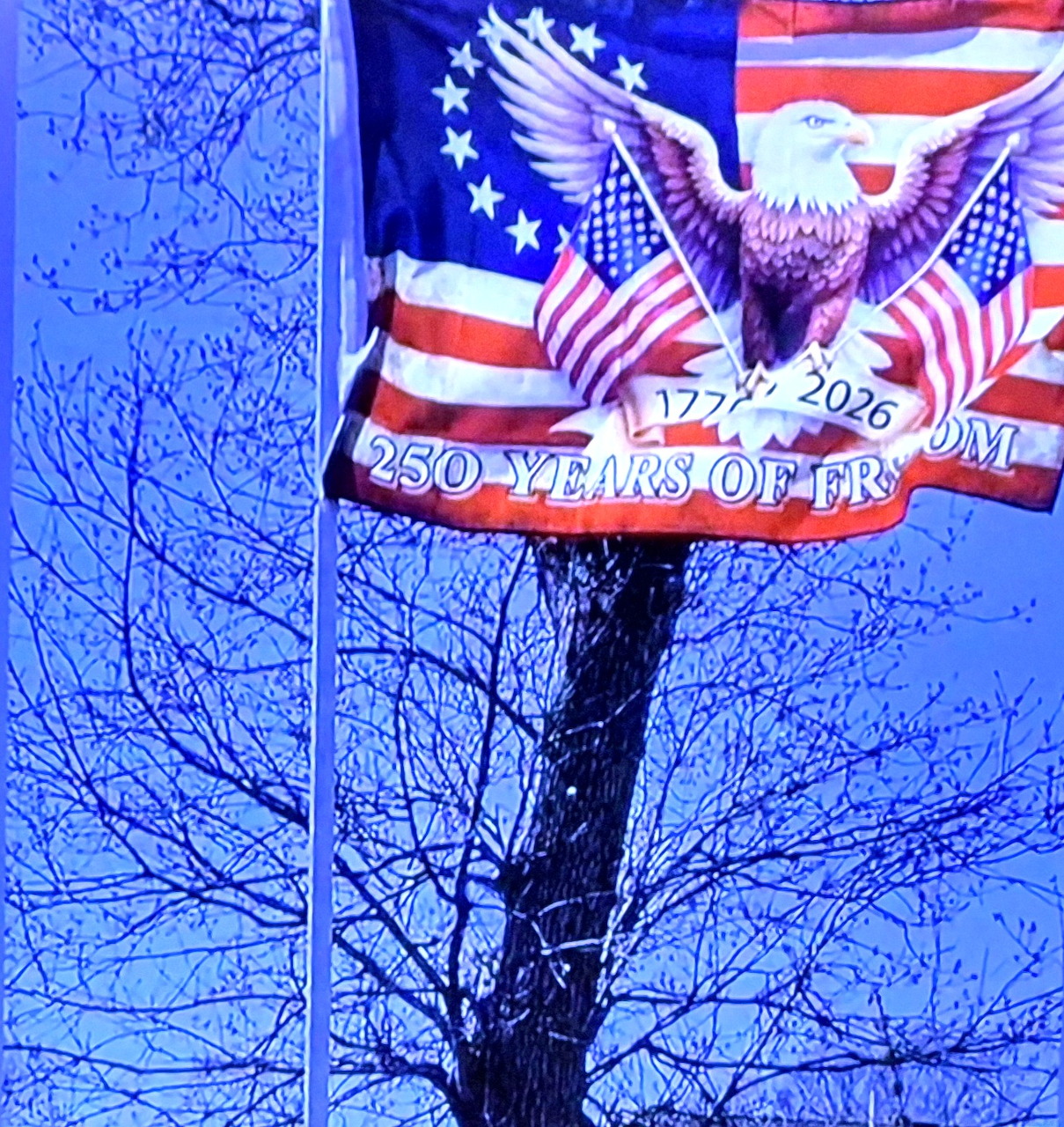 American flag with bald eagle and '250 Years of Freedom' text against blue sky and bare trees