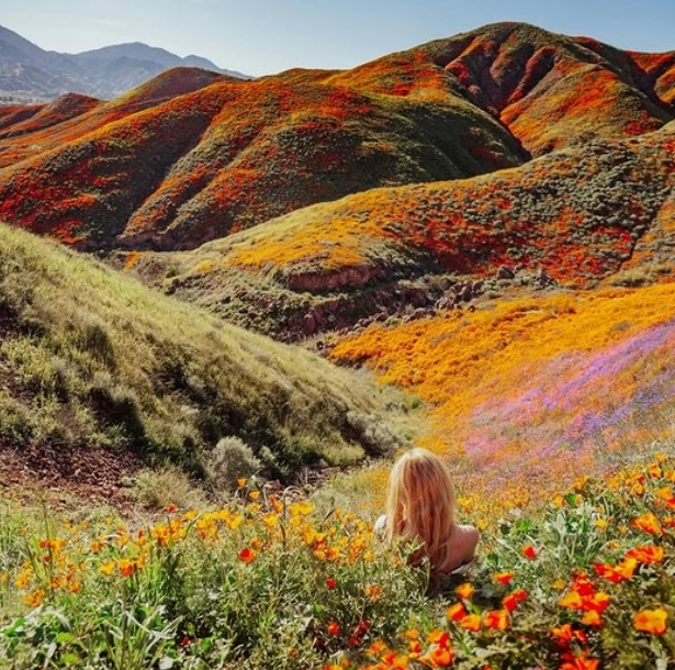 Woman sitting in a wildflower meadow looking at colorful mountain hills