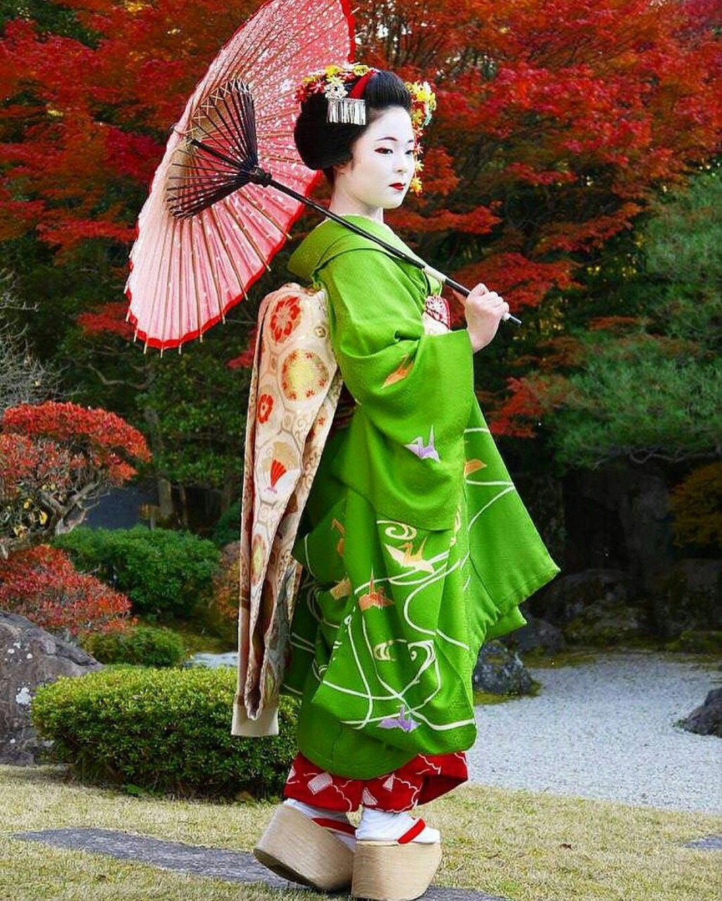 Woman in a green kimono holding a pink umbrella in a Japanese garden with red autumn leaves