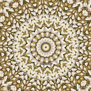 Golden Floral Mandala