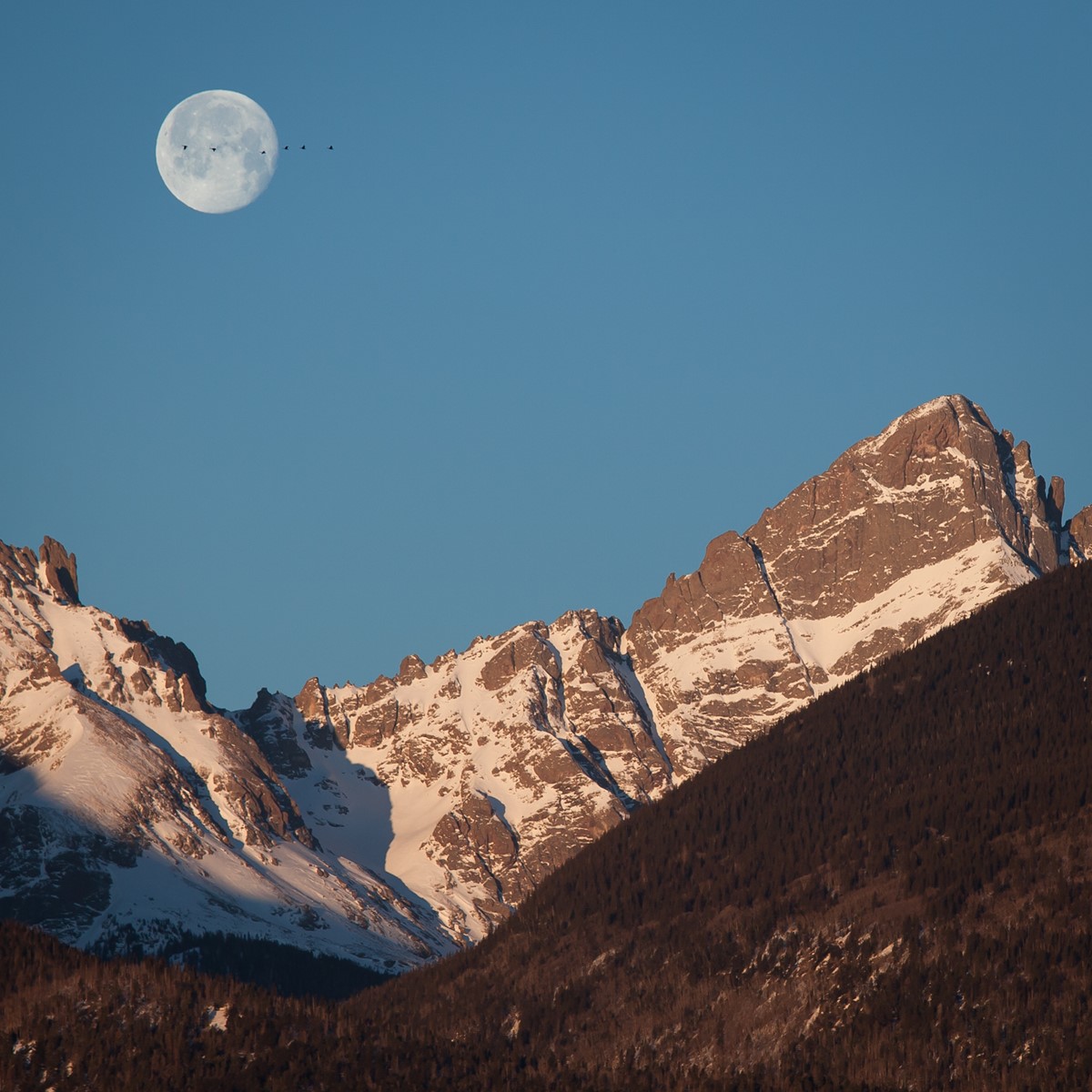 Day moon over snow-covered Sangre de Cristo mountain peaks beneath a clear blue sky