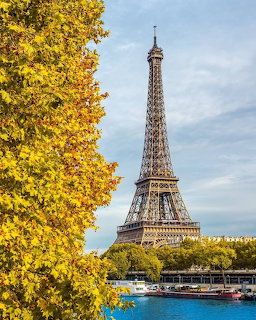 Eiffel Tower viewed across the Seine River with yellow autumn tree leaves in the foreground