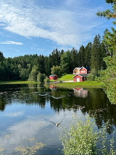 Red house beside tranquil lake surrounded by dense green forest with mirror-like water reflection