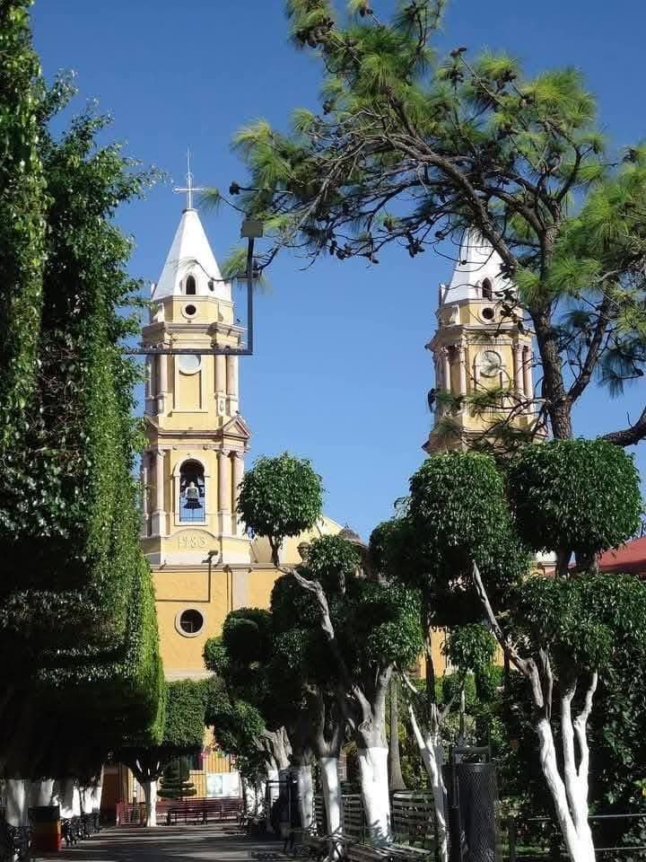 Twin church towers behind manicured trees in a sunny plaza