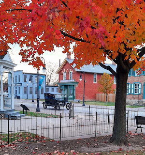 Large red maple tree in autumn with historic small town buildings and horse carriage behind iron fence