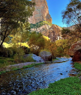Arizona Desert Oasis Creek
