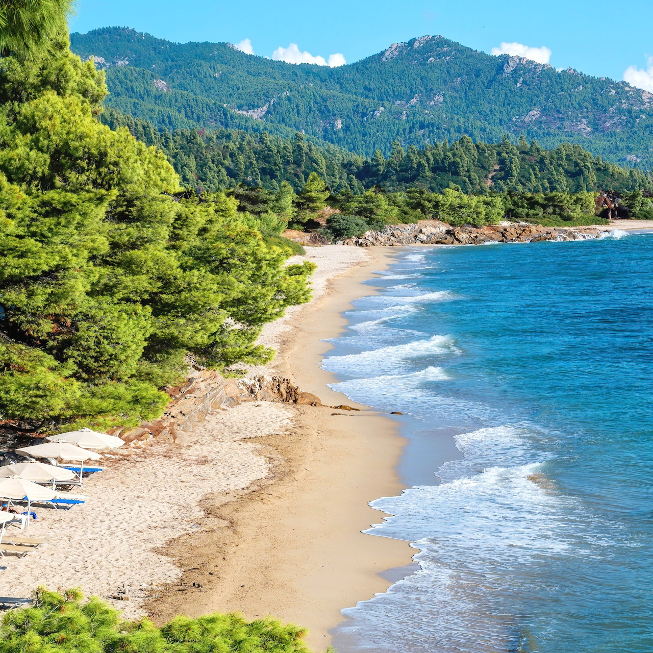 Curved beach with turquoise sea, green pine trees, and mountains in background
