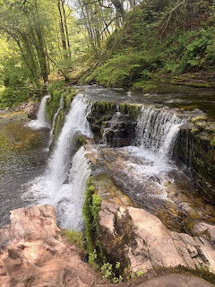 Forest Waterfall Cascade