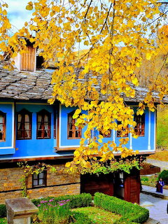 Blue house facade behind golden autumn tree branches and a small trimmed garden