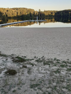 Sandy shore beside a calm lake with tree-lined banks and reflections in evening light