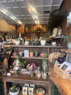Rustic coffee shop interior with wooden shelves, poted plants, suculents, and fresh flowers on display