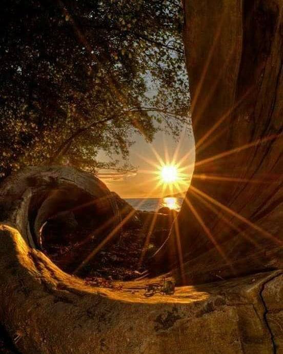 Sunset starburst viewed through a natural cave opening framed by tree roots and large rocks