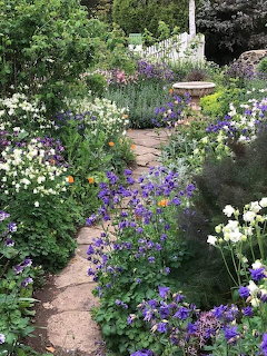 Garden Path with Flowers