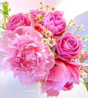 Bouquet of pink peonies, roses, and small white daisies on a light background