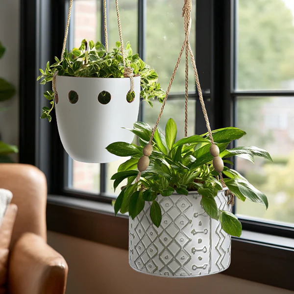 Hanging Planters