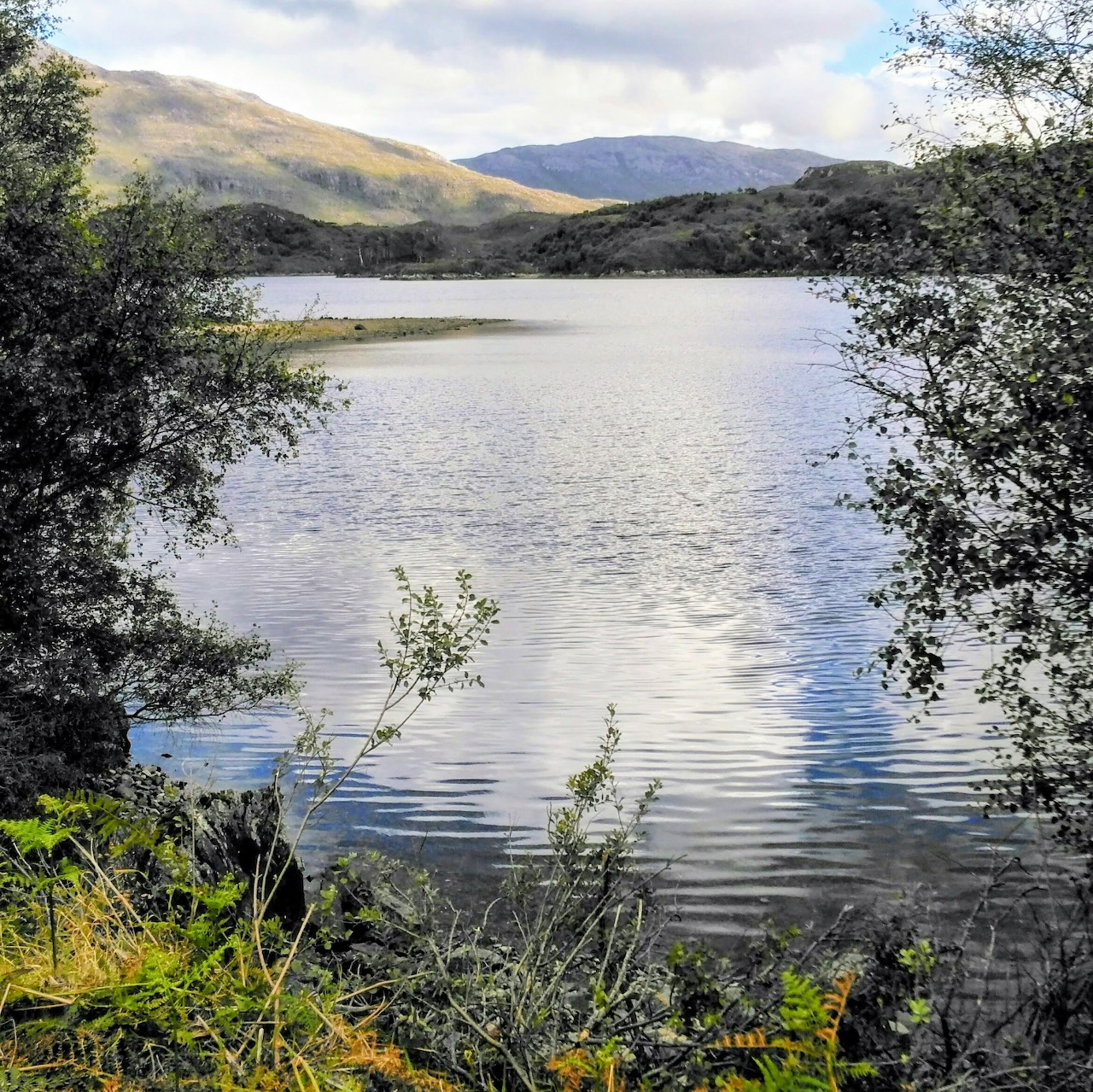 Lake framed by trees and grasses with hills and cloudy sky beyond