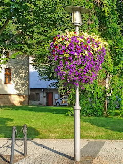 Street lamp with colorful hanging flower basket of purple and yellow petunias in an outdoor square