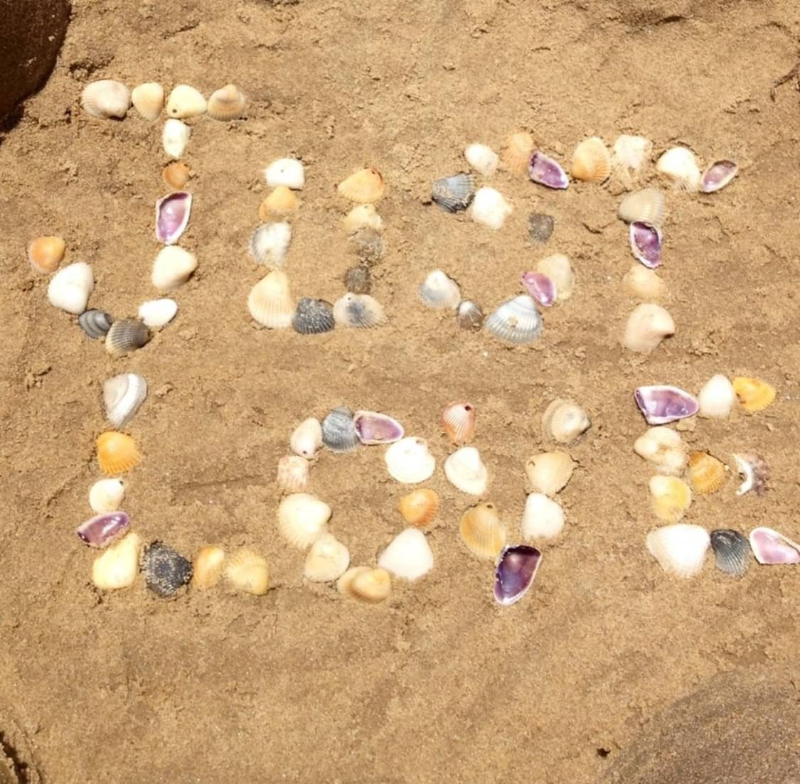 Seashells spelling LOVE IS ASHORE on sand