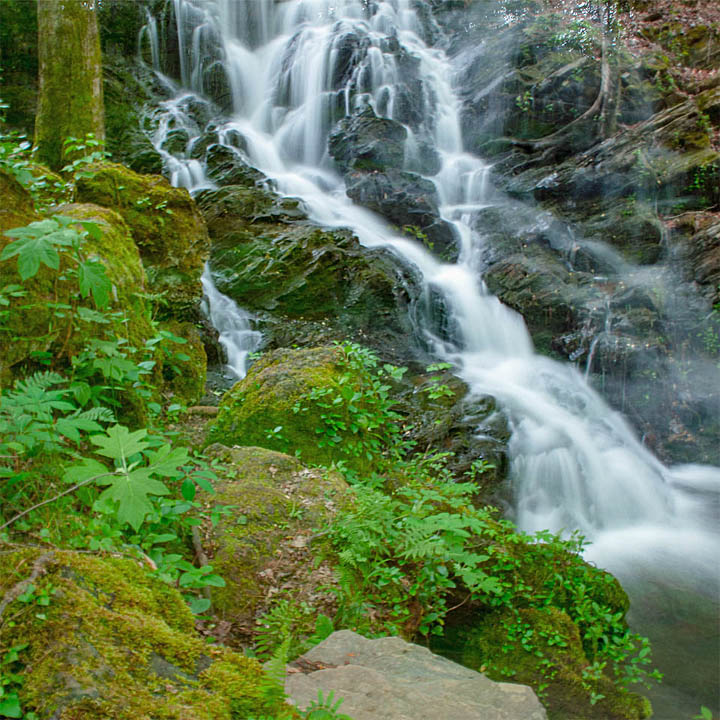 Waterfall cascading over moss-covered rocks in a green forest