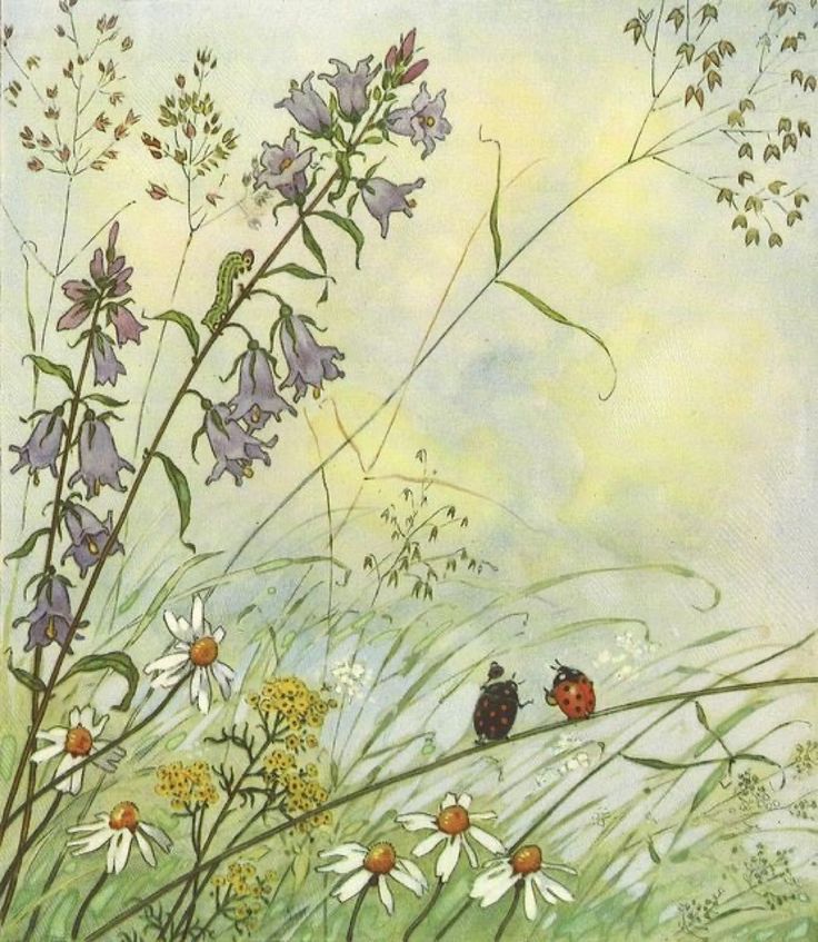 Watercolor illustration of wildflowers including bluebells and daisies with ladybugs in a meadow