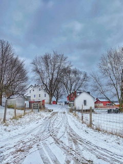 Snow-covered farm with white houses and red barns along a dirt road lined with bare winter trees
