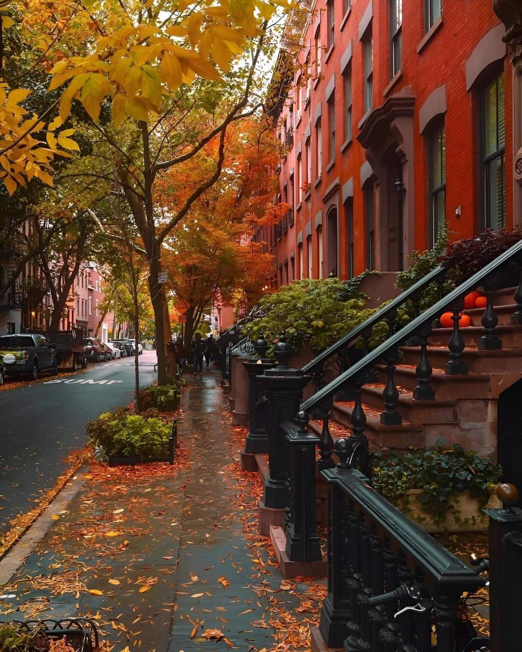 Brownstone row houses with autumn trees and wet sidewalk covered in fallen leaves