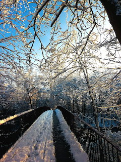 Snow-covered pedestrian bridge with iron railings framed by frosted tree branches against blue sky