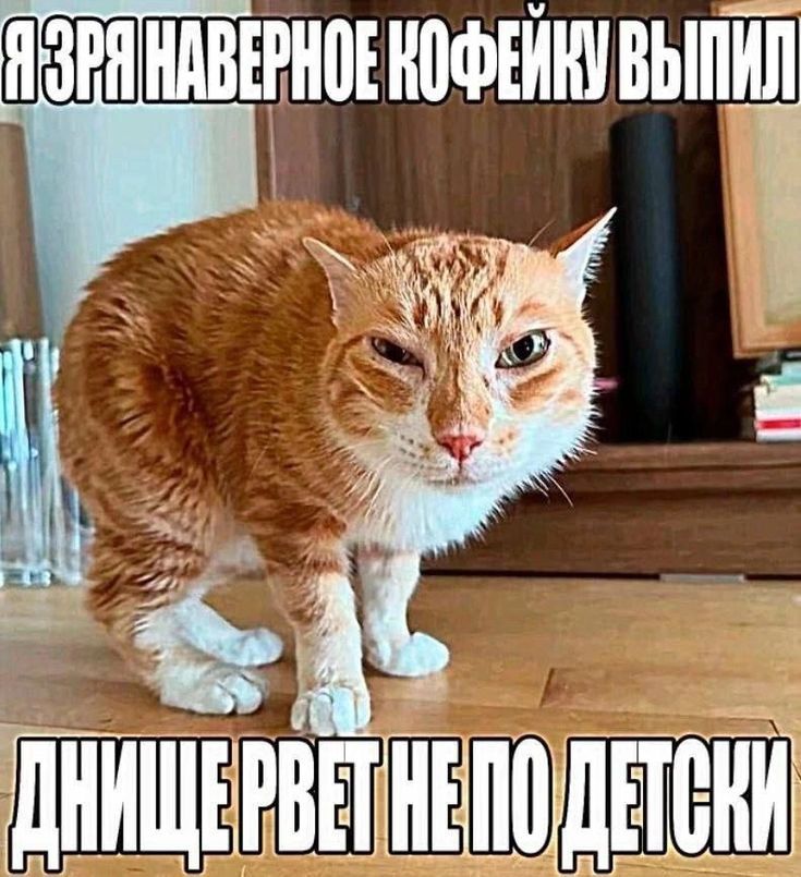 Orange tabby cat with a grumpy expression sitting on a wooden floor, Russian meme text overlay