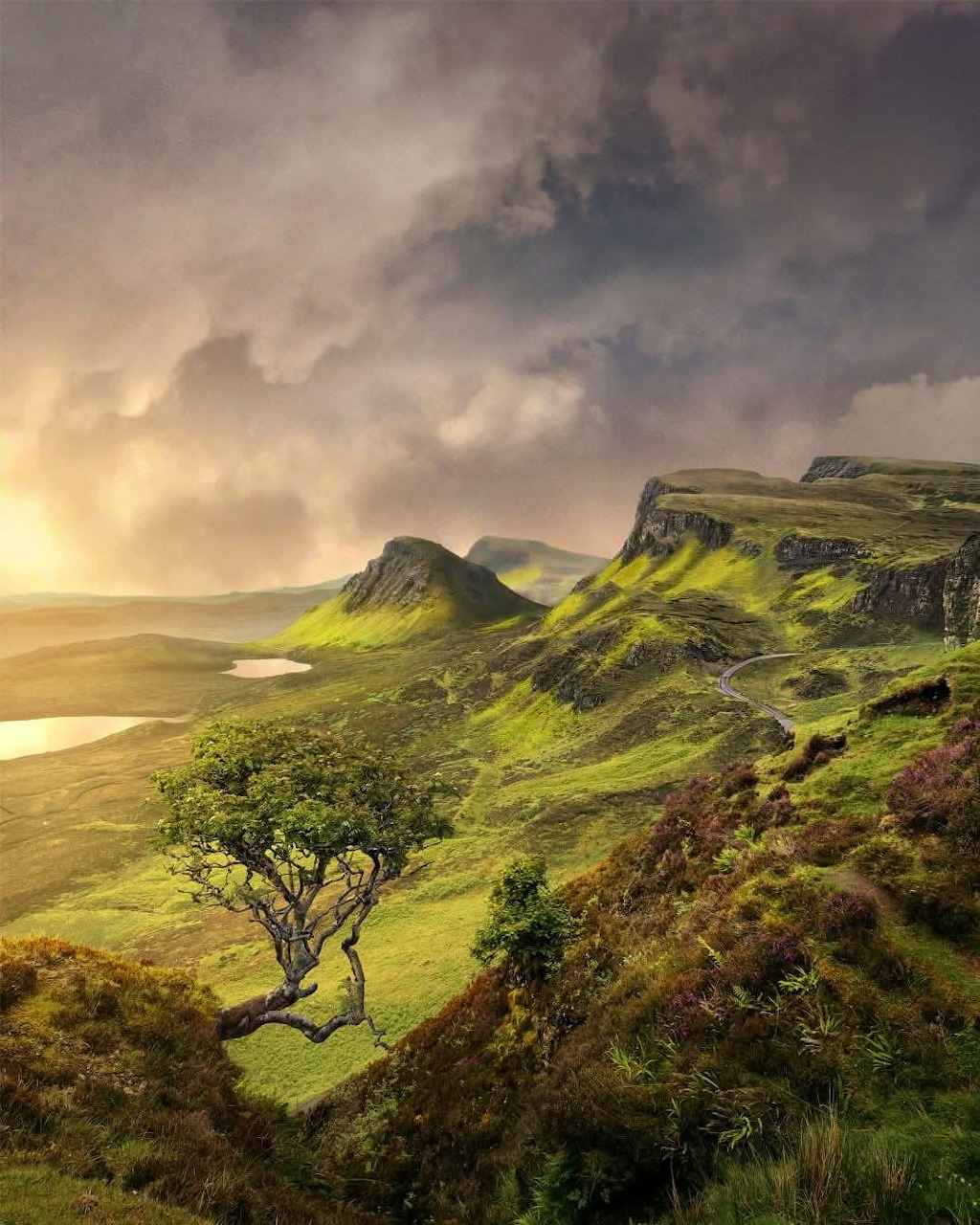 Scottish Highland Landscape