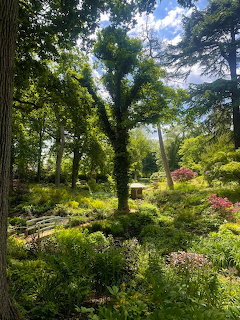 Sunlit garden path with colorful flowers, tall trees, and castle in background
