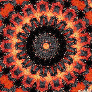 Orange Black Mandala
