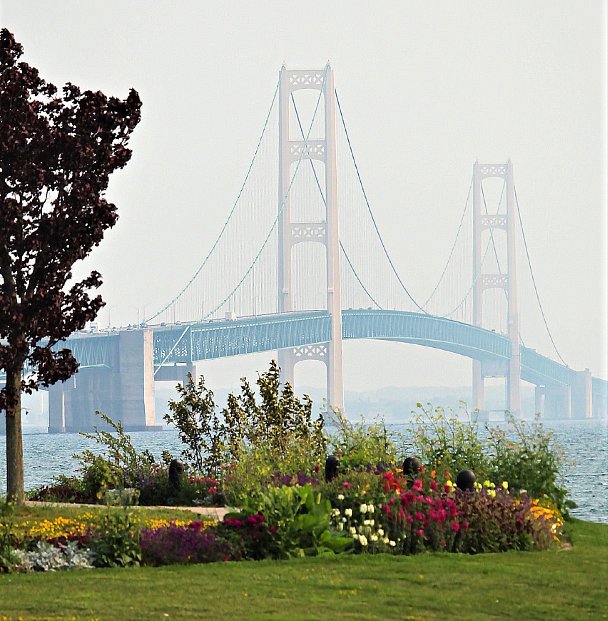 White suspension bridge in fog viewed across water from garden with flowers and trees