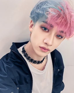 Bangchan Stray Kids Portrait