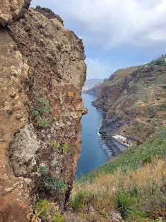 Steep rocky coastal cliffs with oceanove and green vegetation on Madeira island