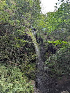 Forest Waterfall