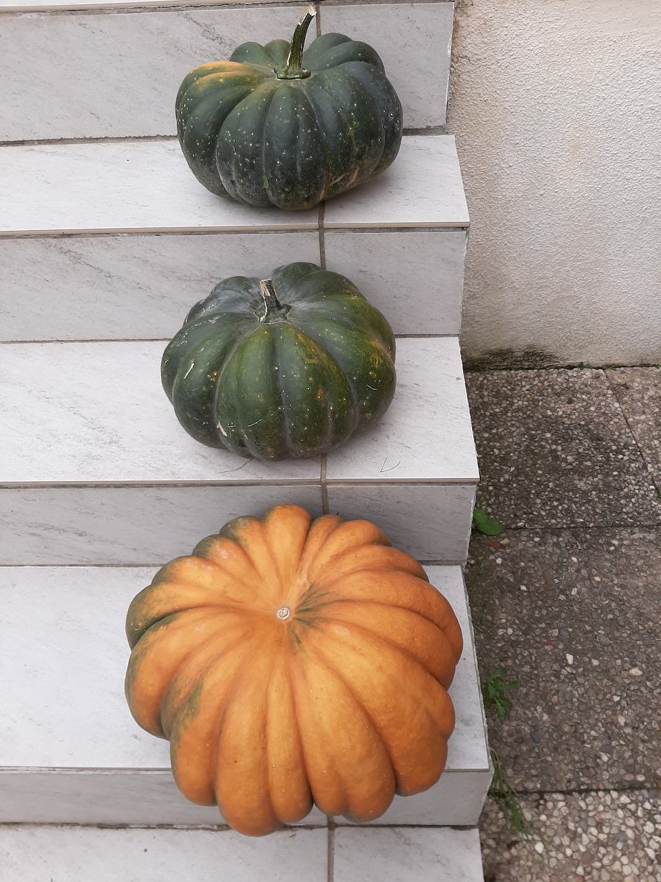 Three pumpkins on stone steps: two dark green squash on upper steps and one large orange pumpkin on the bottom step.
