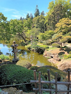 Japanese Garden Pond