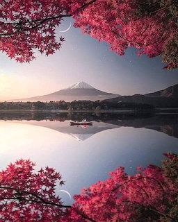 Mt. Fuji Cherry Blossoms Lake